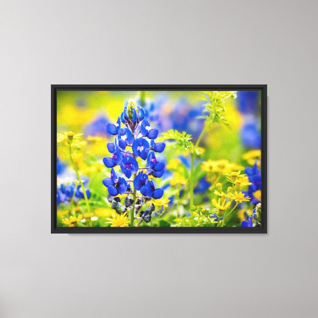 Lienzo Flor de Texas Bluebonnet con Amarillo (Anverso)