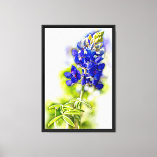 Lienzo Flor de Texas Bluebonnet sobre fondo blanco con gr