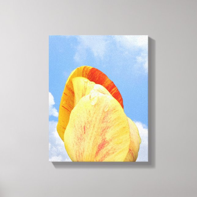 Lienzo Flor De Tulipán Amarillo En Cielo Azul (Anverso)