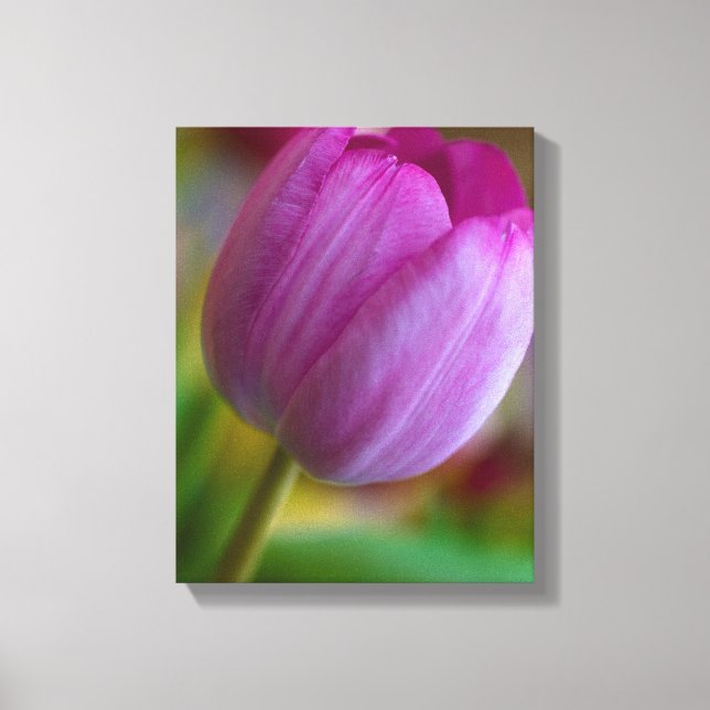 Lienzo Flor de tulipán púrpura (Anverso)