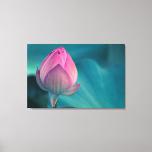 Lienzo Flor del lirio de agua de Lotus