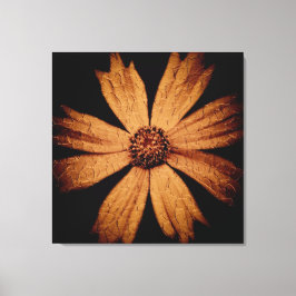 Lienzo Flor dorada de cosmos en negro
