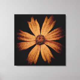 Lienzo Flor dorada de cosmos en negro