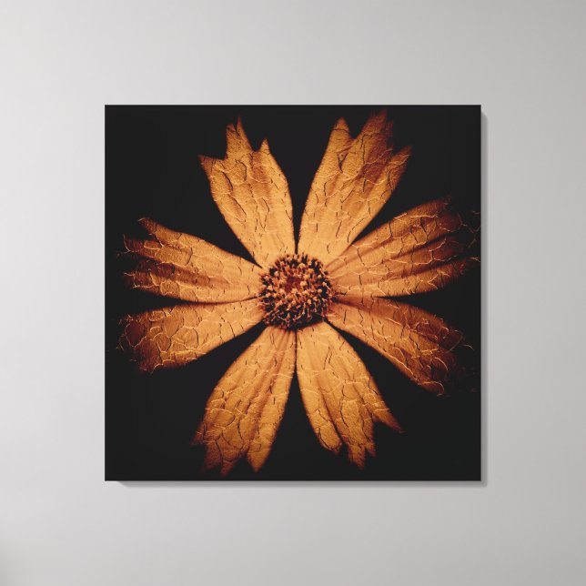 Lienzo Flor dorada de cosmos en negro (Anverso)