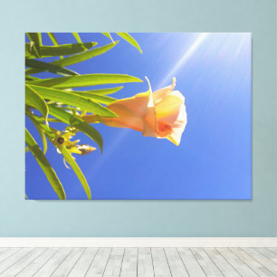 Lienzo Flor en flor bajo un cielo azul profundo