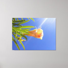 Lienzo Flor en flor bajo un cielo azul profundo