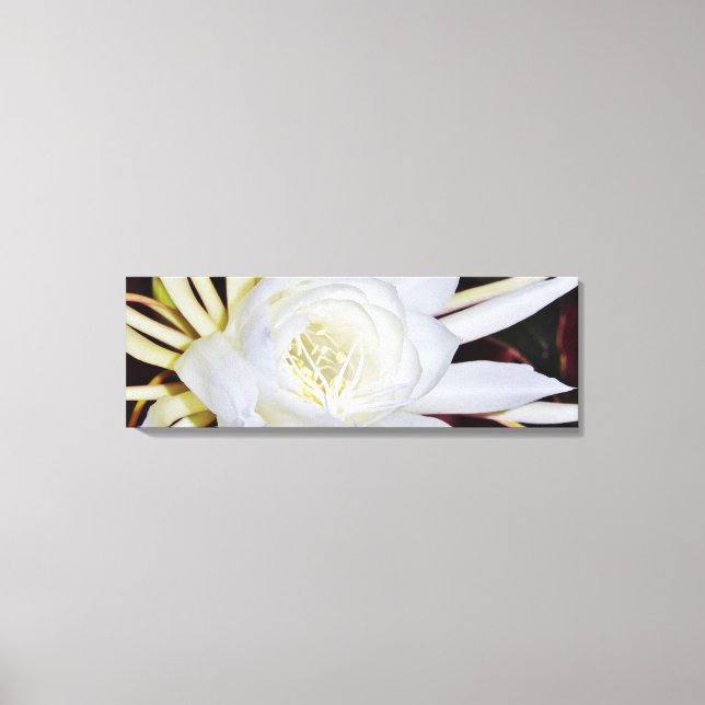 Lienzo Flor en flor blanca nocturna (Anverso)