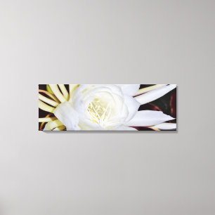 Lienzo Flor en flor blanca nocturna