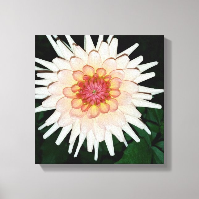 Lienzo flor en una noche fresca (Anverso)