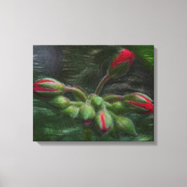 Lienzo Flor Geranium Buds