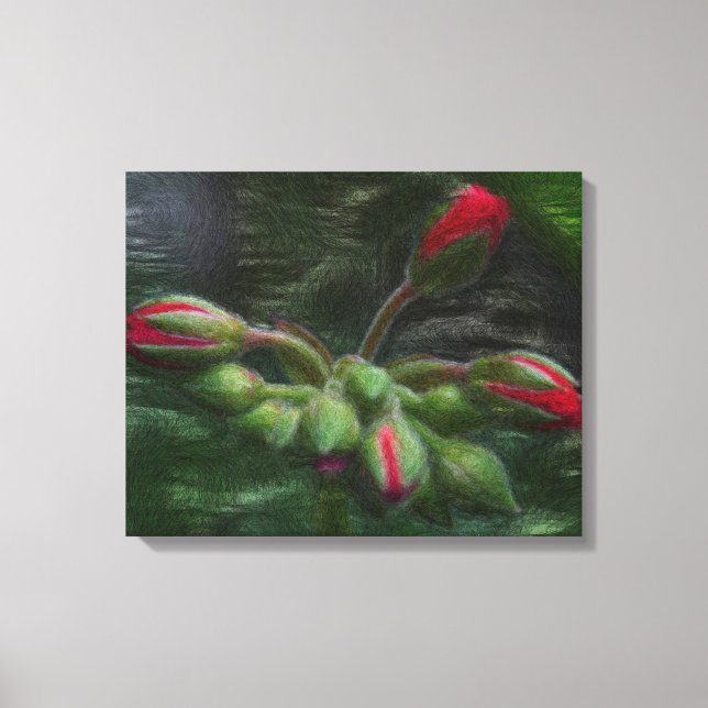 Lienzo Flor Geranium Buds (Anverso)