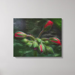 Lienzo Flor Geranium Buds