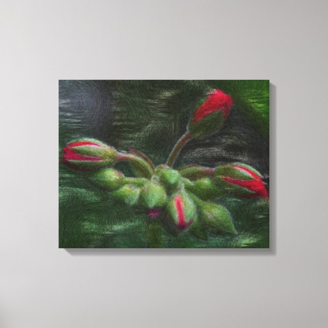 Lienzo Flor Geranium Buds (Anverso)