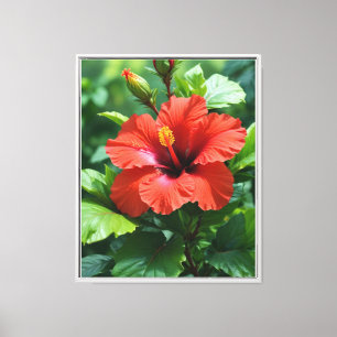 Lienzo Flor Hibiscus Rojo Vibrante Con Hojas-4369