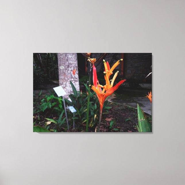 Lienzo flor laranjada (Anverso)