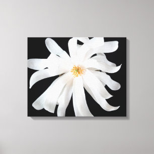 Lienzo Flor magnolia en negro