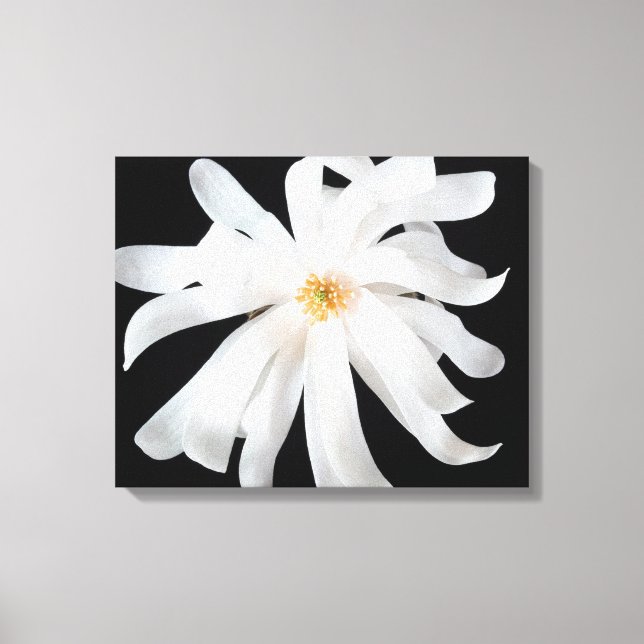 Lienzo Flor magnolia en negro (Anverso)