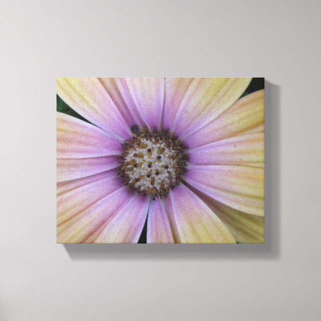 Lienzo Flor marrón morada y amarilla (Anverso)