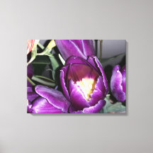 Flor morada
