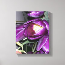 Flor morada
