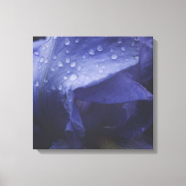 Lienzo Flor morada Rosa