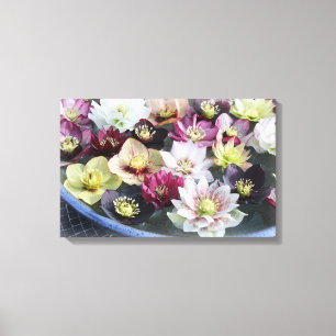 Lienzo Flor navidad