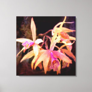 Lienzo Flor - Orquídea - Laelia - Pasión de Medianoche