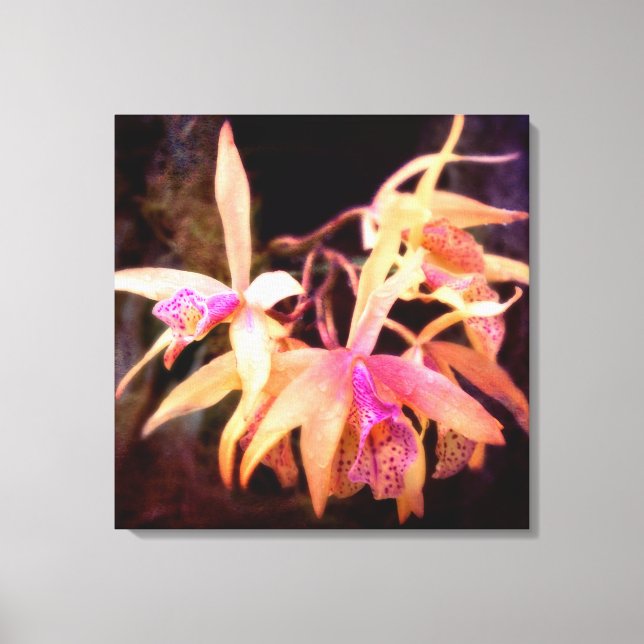 Lienzo Flor - Orquídea - Laelia - Pasión de Medianoche (Anverso)