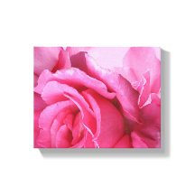 Flor preciosa rosa moderna floral rosa 