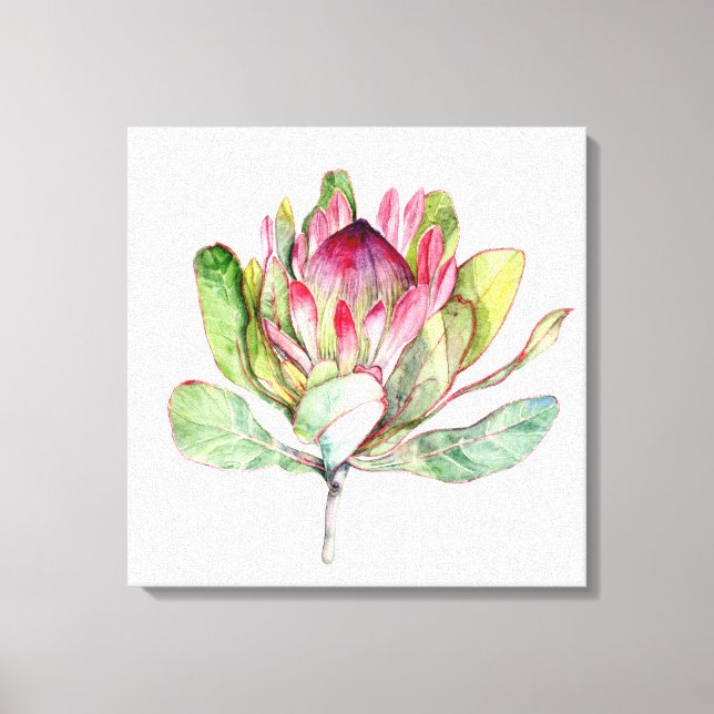 Lienzo Flor Protea (Anverso)