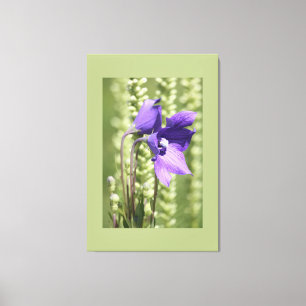 Lienzo Flor Purple Garden