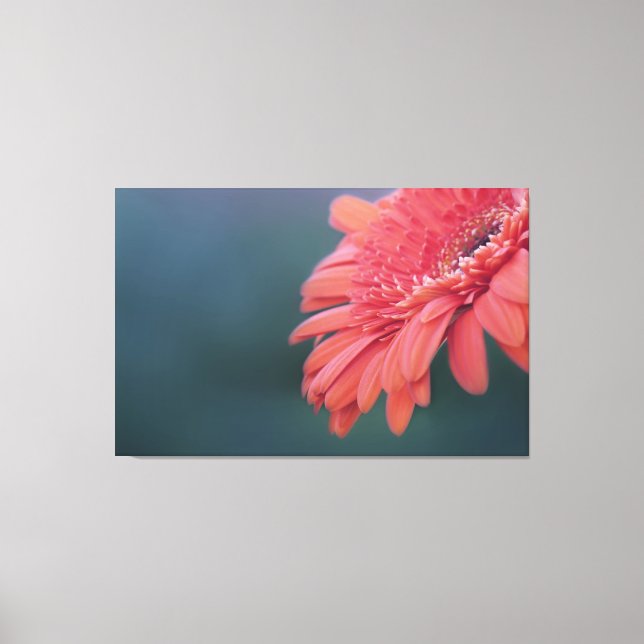 Lienzo Flor roja gerbera (Anverso)