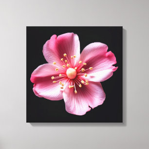 Lienzo Flor rosa