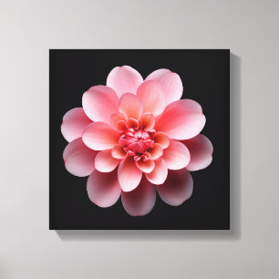 Lienzo Flor rosa