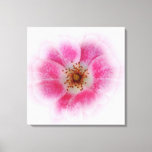 Lienzo flor rosa brillante