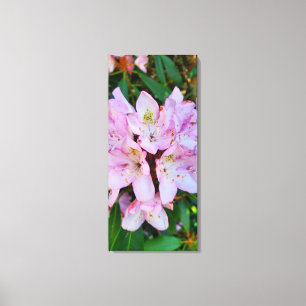 Lienzo Flor rosa de rododendros