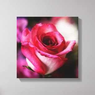 Lienzo Flor Rosa Floral Rosa