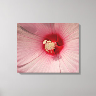 Lienzo Flor rosa Hibiscus Flower Close Photo Single Print