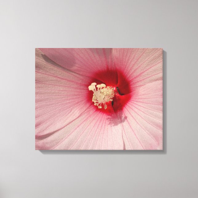 Lienzo Flor rosa Hibiscus Flower Close Photo Single Print (Anverso)