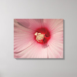 Lienzo Flor rosa Hibiscus Flower Close Photo Single Print
