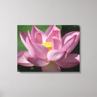 Lienzo Flor rosa Lotus IV