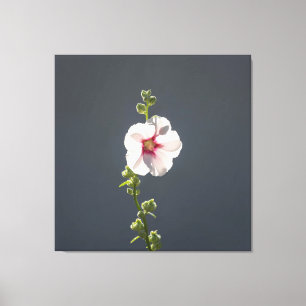 Lienzo Flor rosa Mallow hojas verdes sobre gris oscuro