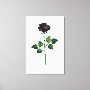 Lienzo Flor rosa negra