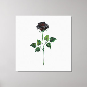 Lienzo Flor rosa negra