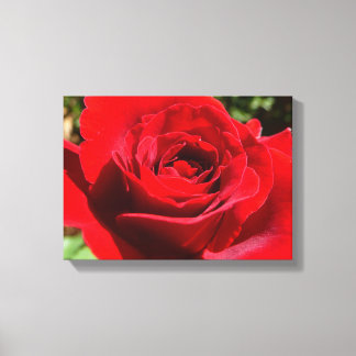Lienzo Flor rosa roja brillante hermosa flor