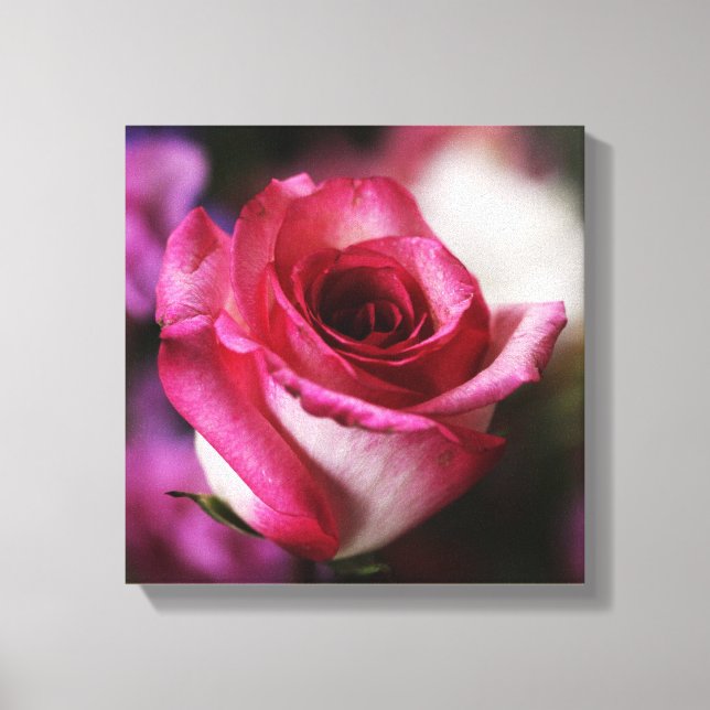 Lienzo Flor rosa rosa (Anverso)