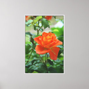Lienzo Flor rosa rosada natural