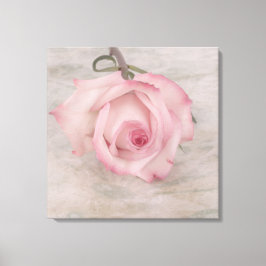 Lienzo Flor rosa suave