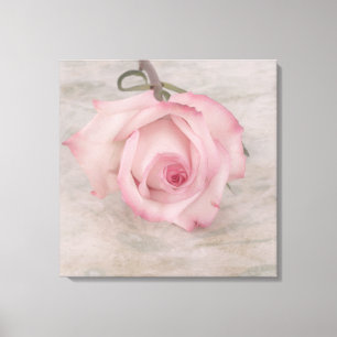 Lienzo Flor rosa suave