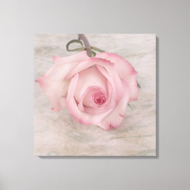 Lienzo Flor rosa suave (Anverso)